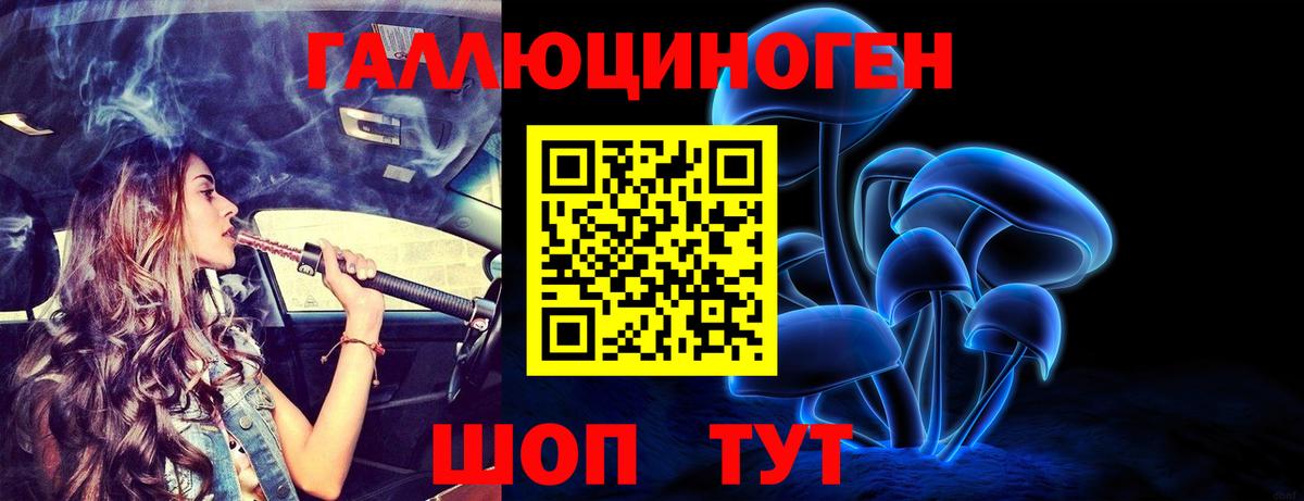 Прохладный  что такое   Вход с VPN  Псилоцибиновые грибы GOLDEN TEACHER 