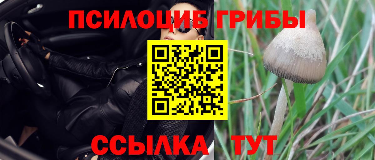 Псилоцибиновые грибы Magic Shrooms Прохладный